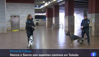 unidad-canina-policia-local-toledo